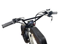 Электровелосипед Horza Reboot HR-1500